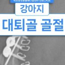 속초삼성동물메디컬센터 이미지