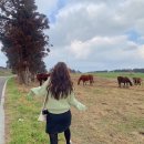 비자낭달집 이미지