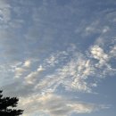 낭만 있는 감성 기타 | 청포대 수펜션 | 낭만 포화 안면도 감성 가득한 여름휴가