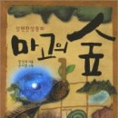 마고