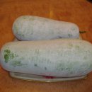 동아농장 이미지