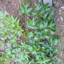 선우정경로당 이미지