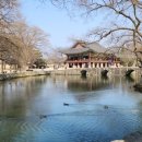 낭만고등어식당 - 경산시 성암로21길 10-1 | 낭만고등어식당