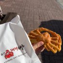 동해시-41 | 묵호 뚜벅이 여행 1박2일 당일치기 맛집 &amp; 오션뷰 카페 총정리