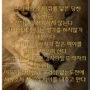 최강부동산공인중개사사무소 이미지