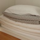 뜨레시옷 | 제주 송당 숙소 아이들이 좋아하는 키즈풀빌라 뜨레시옷