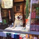 황등제일아파트 이미지