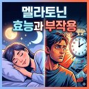 멜라토닌 효능과 부작용, 직구 규제 총정리, 불면증 극복한 실제 후기