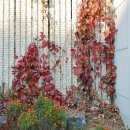 이편한당구장 이미지