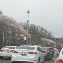 와이덱스보청기 서울대점 이미지