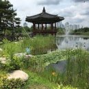 남대전엑스포종합정비 | 11월 대전 여행 코스 추천, 장태산 메타세콰이어부터 늦가을 정취 가득한 숨은 명소 7곳 완벽 정리 가이드