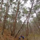 지리산둘레길 1코스 이미지