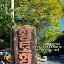 황토향기민박 이미지