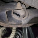 그린카프라자 이미지