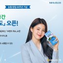독도전자
