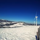 삼양목장 이미지