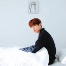 그해여름 이미지