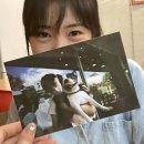 혜성동물병원 이미지