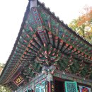 골굴사