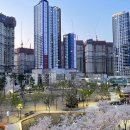 수창공원 이미지