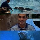 그랑블루 이미지