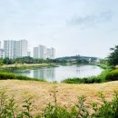 양덕 물빛공원 | 하루 만보 걷기 프로젝트, 6개월 정산 레포트