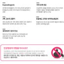 프랜즈 세탁 이미지