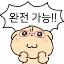 삼척시민체육관 이미지