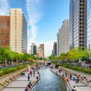 P.E.M Korea 이미지