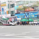 동아목련 이미지