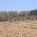 금오영농조합법인 이미지