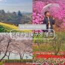 신정호호수한우 | 4월 가볼만한곳 국내여행지 추천 꽃구경 명소 5곳