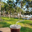 세븐일레븐 율포점 이미지