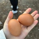 번지없는주막 | 밀양 일출 명소 천왕재 방문 후기(+번지 없는 주막 떡국 제공)