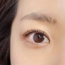안양속눈썹펌 라보떼래쉬 범계점 블랙틴팅펌 앞브로우펌 후기