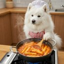 [공지] 불닭발땡초동대문엽기떡볶이 수원터미널점
