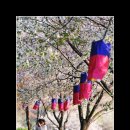 안산농원