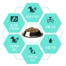 인섹트 파워 이미지