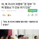 여, 북 러시아 파병에 "문 정부 '가짜 평화쇼'가 안보 위기 단초" 이미지