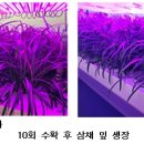 광의농장 이미지