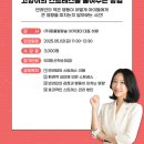 펀치펫 이미지