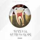 청주 주중동 치과 믿고 맡길 곳이 필요하다면 &lt;클릭&gt;