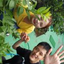 베데스다농장 이미지