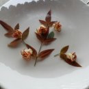 하이소 싹쓰리 Daum카페