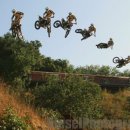 하늘을 향하여 이미지