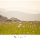 반월성 이미지