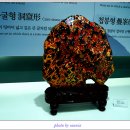 1004섬수석미술관 이미지