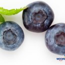 보양슈퍼 이미지