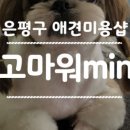 고마워 MIN 이미지