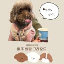 무궁화동산 족구장 화장실 | 파주 애견카페 오프리쉬 가능 힐링 그라운드 서울근교 유아 동반 솔직 후기